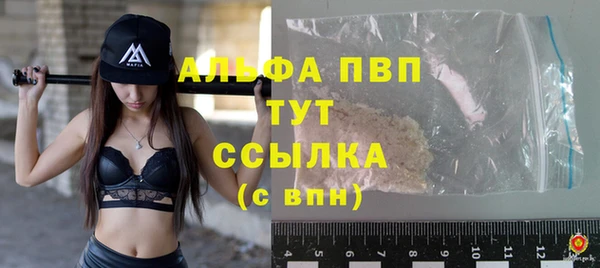 прущие грибы Липки