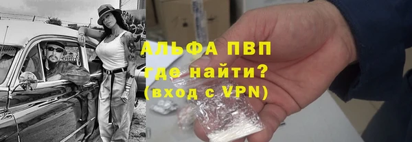 прущие грибы Липки