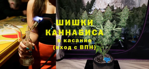 прущие грибы Липки