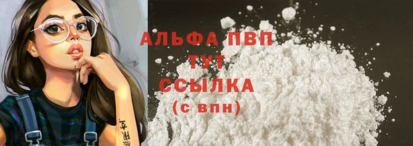 ПСИЛОЦИБИНОВЫЕ ГРИБЫ Верхний Тагил