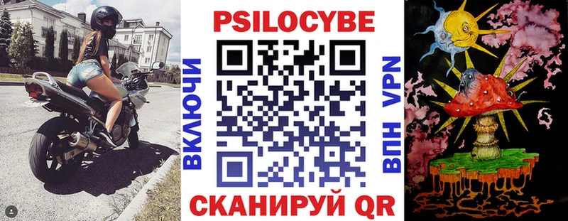 Псилоцибиновые грибы мицелий  наркошоп  Щучье 